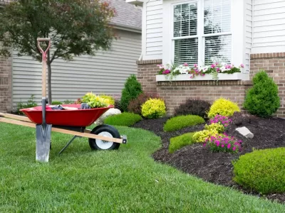 Planting-a-celosia-flower-garden-around-a-house